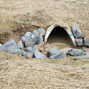 Meet your Posher, Lee